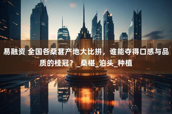 易融资 全国各桑葚产地大比拼，谁能夺得口感与品质的桂冠？_桑椹_泊头_种植