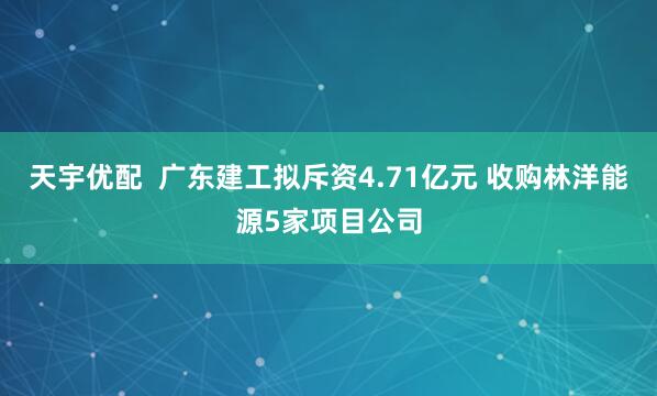 天宇优配  广东建工拟斥资4.71亿元 收购林洋能源5家项目公司