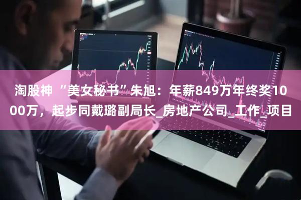 淘股神 “美女秘书”朱旭：年薪849万年终奖1000万，起步同戴璐副局长_房地产公司_工作_项目