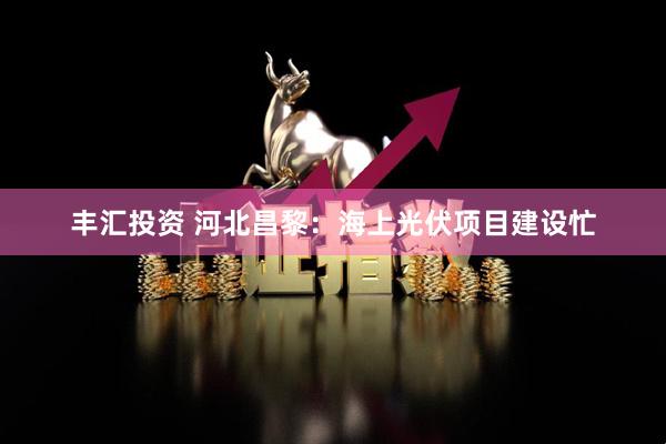 丰汇投资 河北昌黎：海上光伏项目建设忙