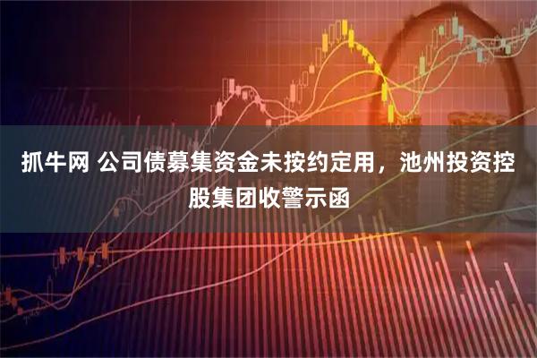 抓牛网 公司债募集资金未按约定用，池州投资控股集团收警示函
